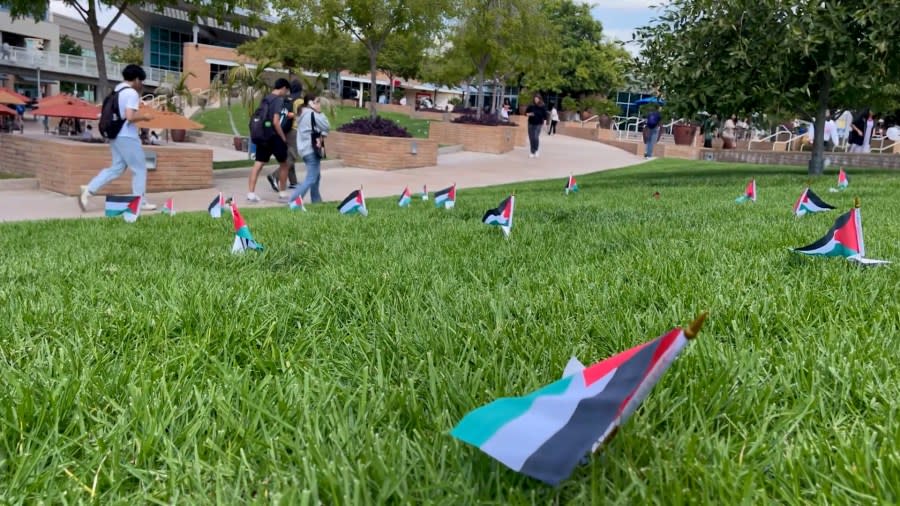 Palestinian Flags at UCR