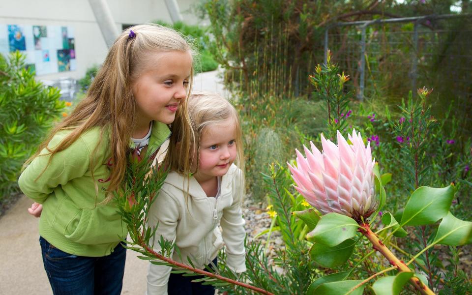 half term ideas family holidays days out activities child rainy day bad weather things to do uk keep children busy uk 2022