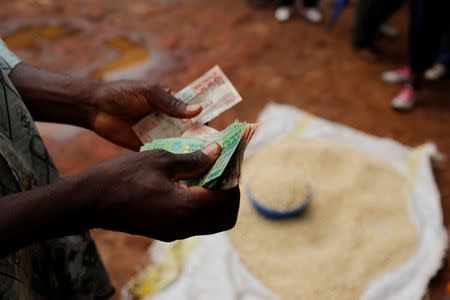A Malawian trader counts money as he sells maize near the capital Lilongwe, Malawi February 1, 2016. REUTERS/Mike Hutchings