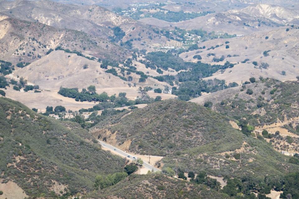 A new study by UCLA researcher Rachel Blakey determined that mountain lions are avoiding 100,000 acres of habitat burned.