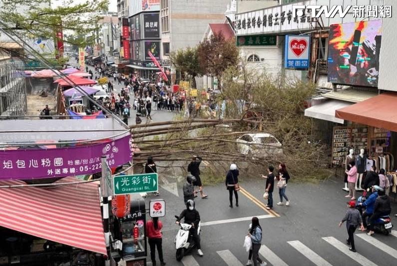 路樹倒塌一度造成交通中斷。（圖／記者爆料網）