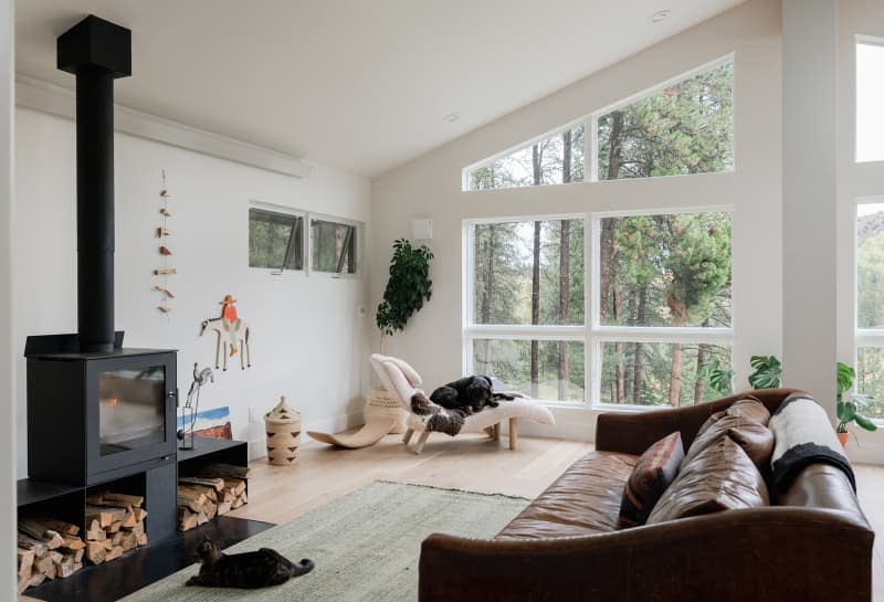 Dog laying on chaise lounge in window of mountain home.