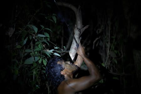 The Wider Image: Fighting fire with fire, Amazon 'forest guardians' stalk loggers
