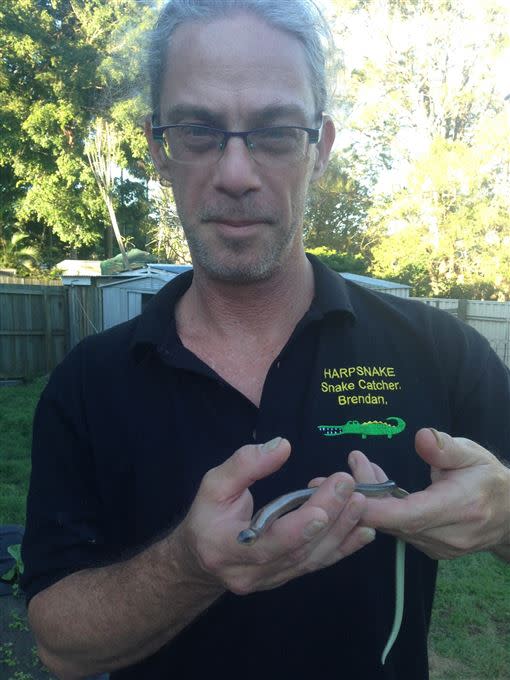 澳洲當地專業捕蛇人戴爾先生（Brendan  Dyer）。（圖／Brendan Dyer授權提供）