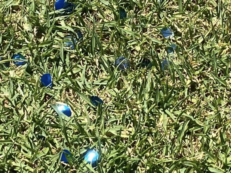 The plastic pieces scattered in the Fremantle park. Source: Facebook