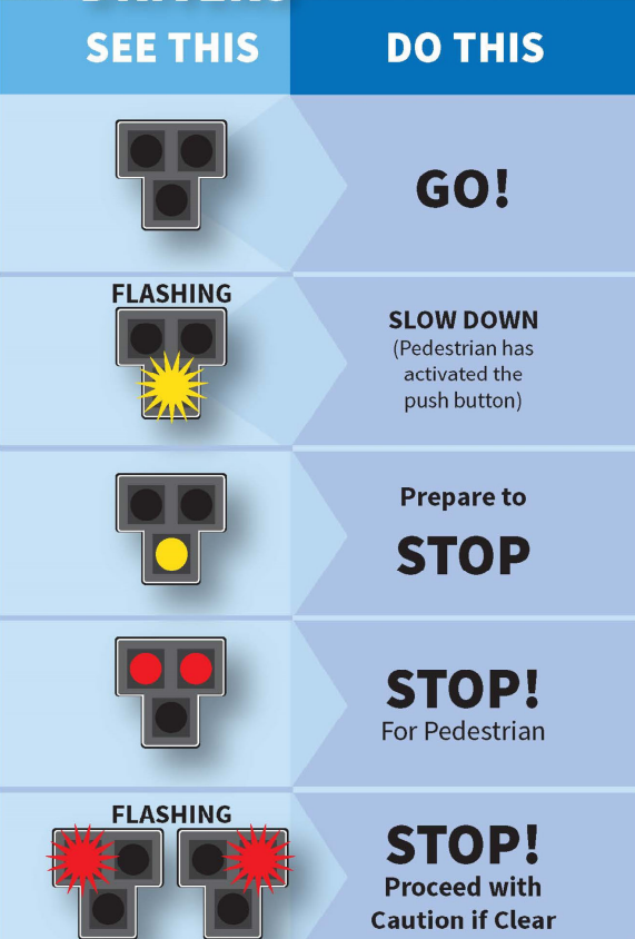 Graphic illustrates how a pedestrian hybrid beacon works and what drivers should do when they encounter one at an intersection.