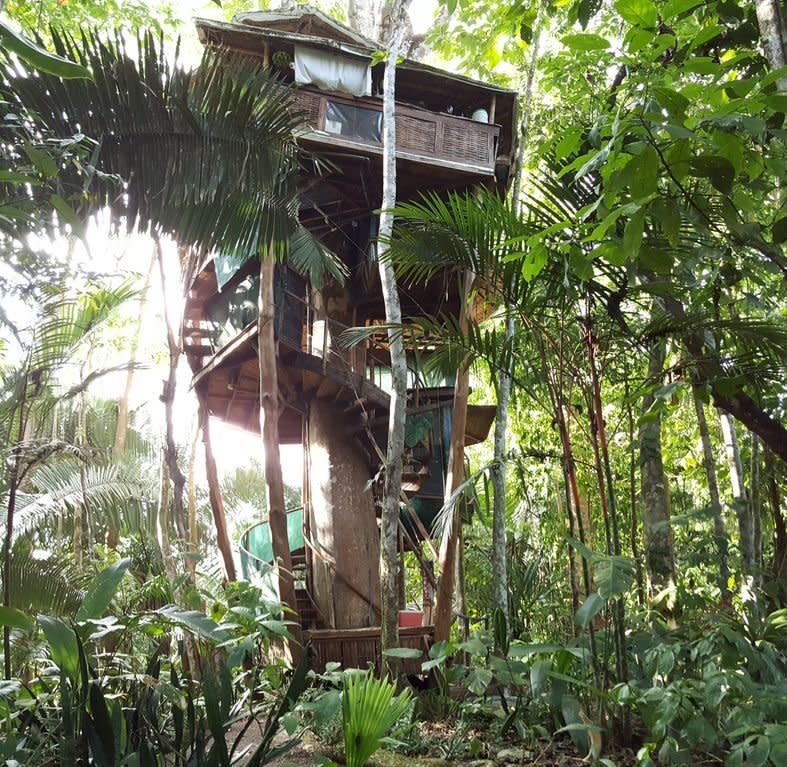 This treehouse sits 60-feet up and includes ocean and jungle views. <a href="https://www.homeaway.com/vacation-rental/p292693" target="_blank">Check it out</a>.&nbsp;