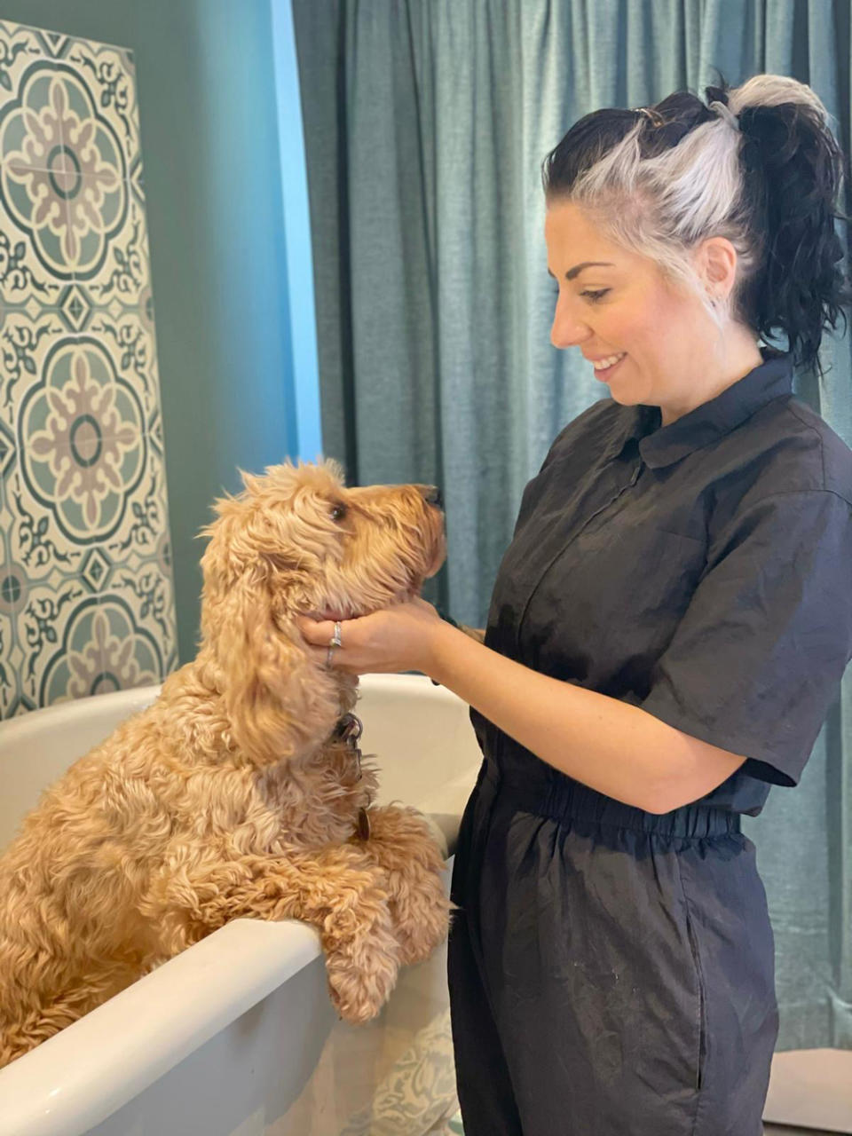 Pampering is available for pooches at the hotel. (Collect/PA Real Life)
