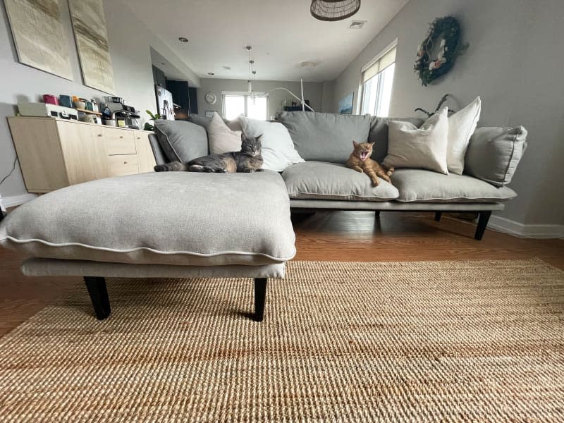 A gray sectional couch with two cats on top