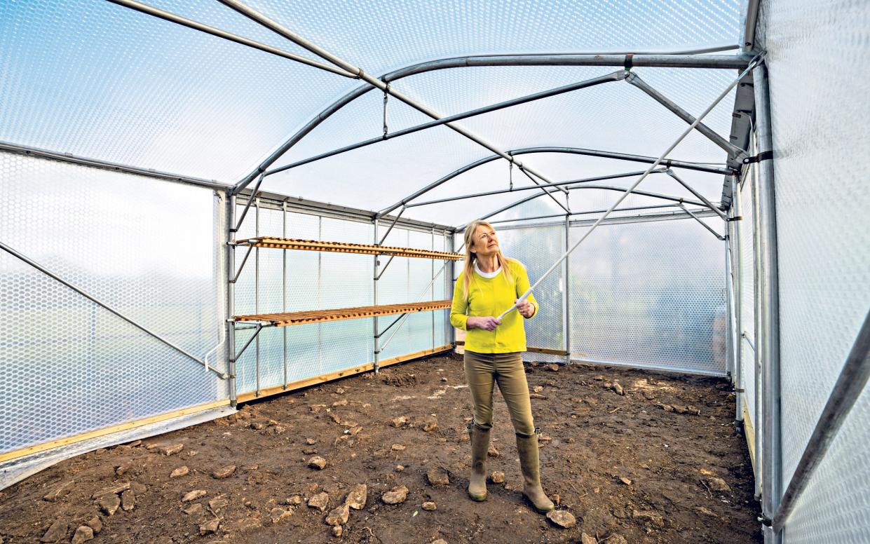 Tunnel vision: Bunny Guinness, pictured, now appreciates the benefits of a polytunnel - Andrew Crowley for the Telegraph