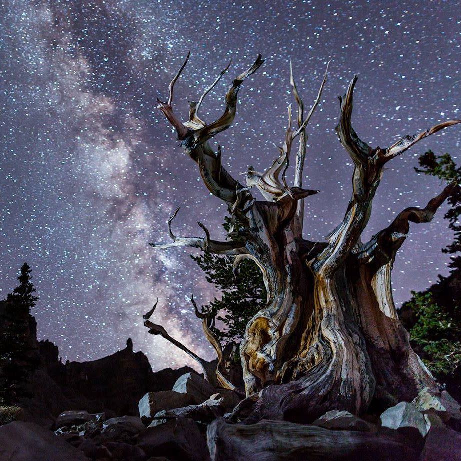 Great Basin National Park