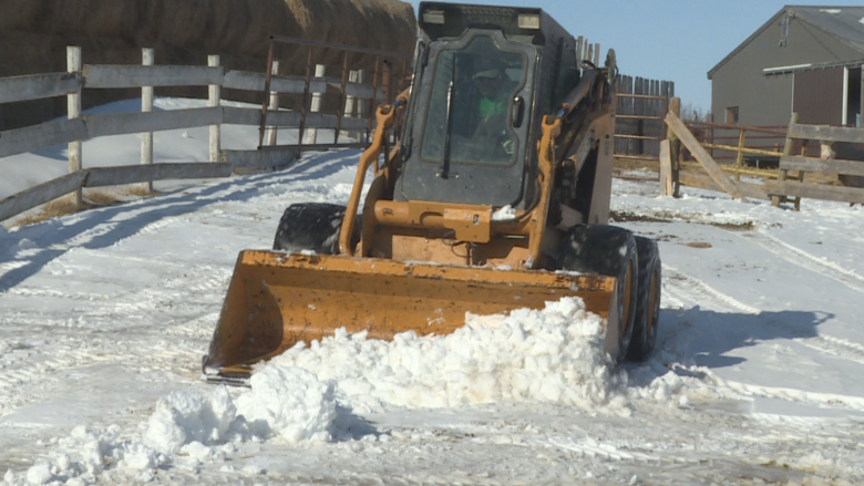 Melting snow brings much needed moisture but also challenges to Alberta farms