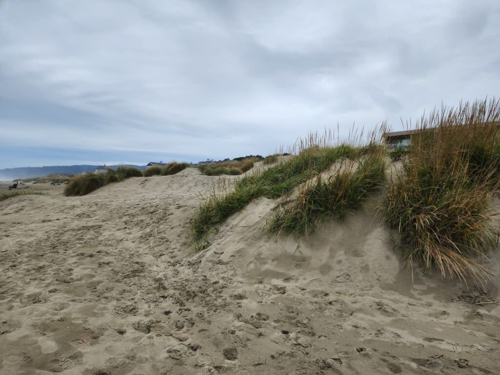 Sand dunes at the beach near Florence.