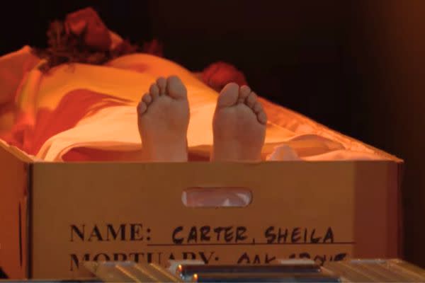 At the crematorium, “Sheila” is cremated.