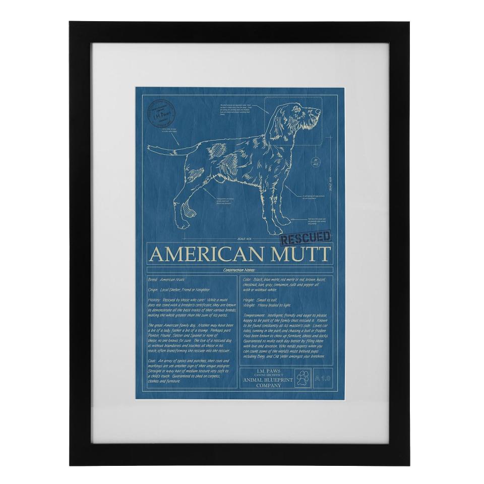 Mutt Blueprint