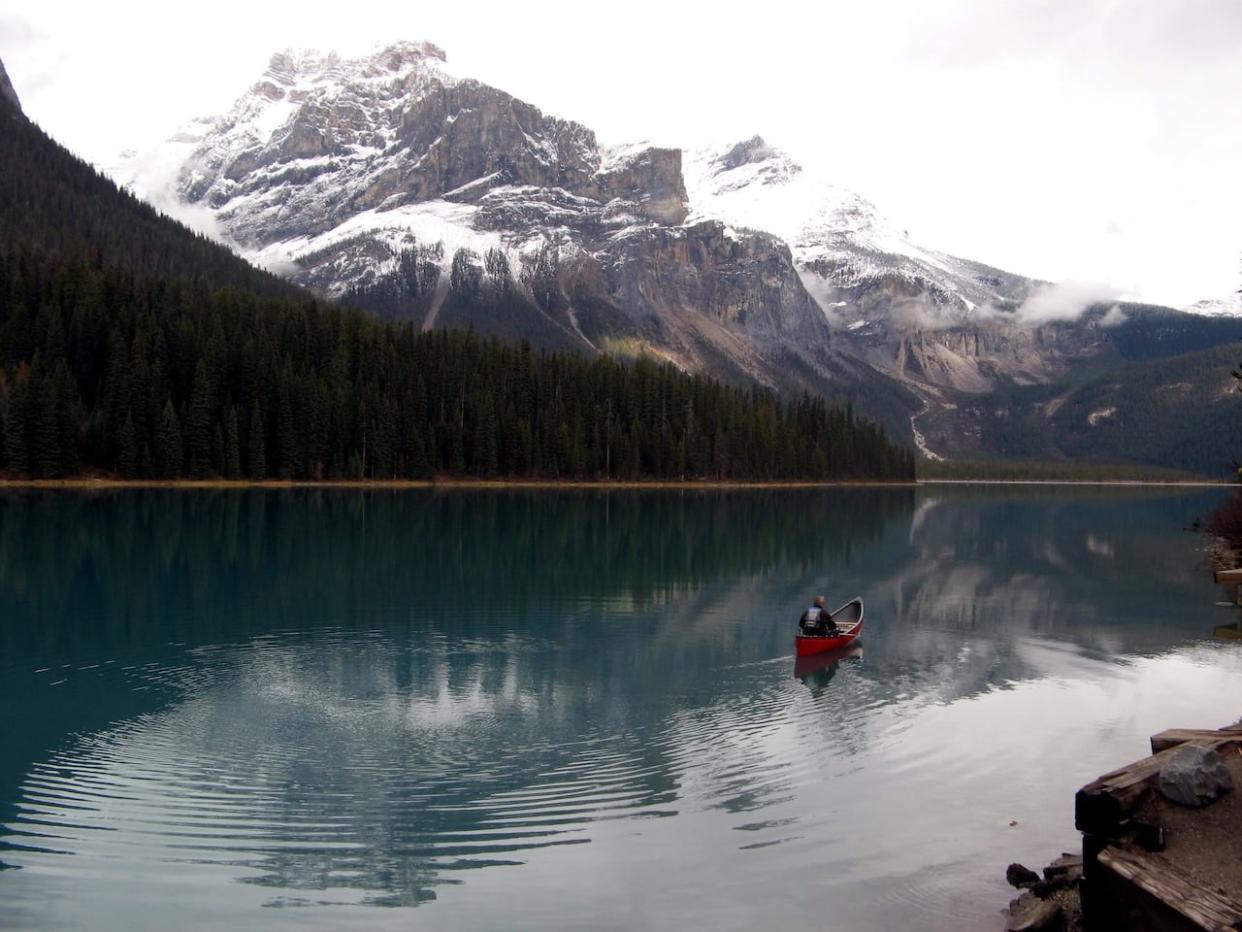 A person is pictured canoeing across Emerald Lake, which is open year-round, in B.C.'s Yoho National Park. Parks Canada says it is investigating a suspected case of whirling disease in the lake. (Bill Graveland/The Canadian Press - image credit)