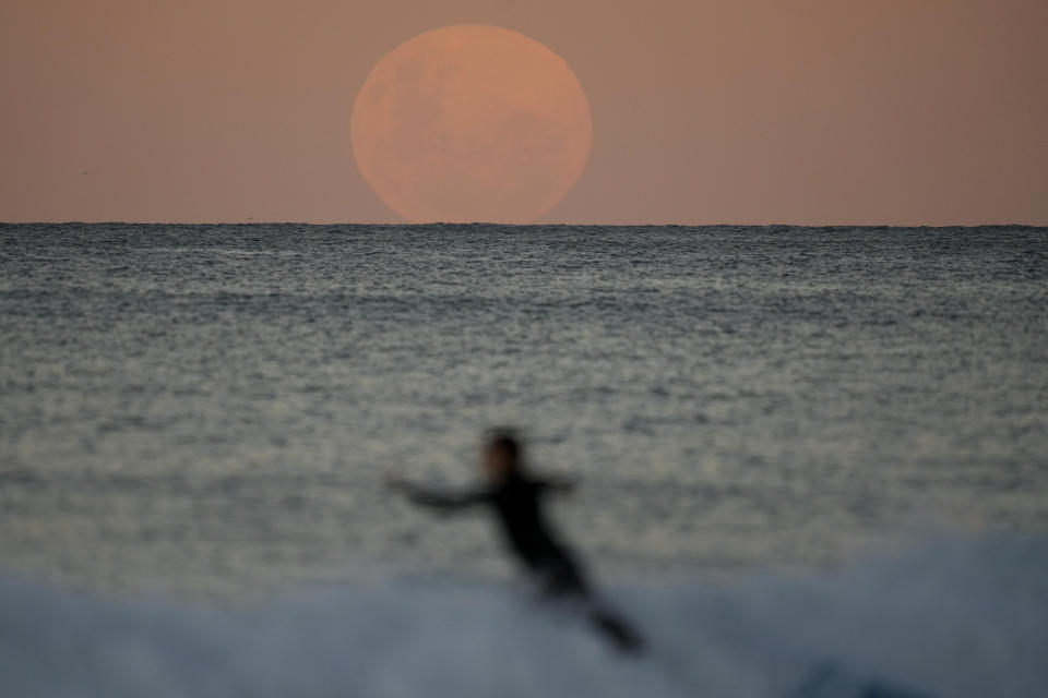 A surfer falls off his board as the moon rises in Sydney Wednesday, May 26, 2021. A total lunar eclipse, also known as a Super Blood Moon will take place later tonight as the moon appears slightly reddish-orange in colour. (AP Photo/Mark Baker)