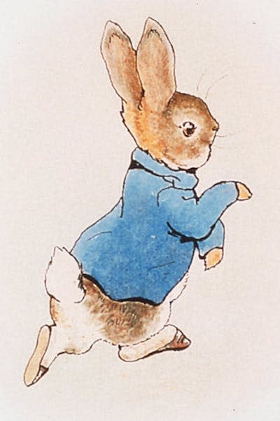 Ilustración de Peter Rabbit, Beatrix Potter. <a href="https://commons.wikimedia.org/wiki/File:An-Original-Illustration-Of-Peter-Rabbit-From-1902-Author-Beatrix-Potter.jpg" rel="nofollow noopener" target="_blank" data-ylk="slk:Aleph-bet Books / Wikimedia Commons;elm:context_link;itc:0;sec:content-canvas" class="link ">Aleph-bet Books / Wikimedia Commons</a>