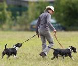 <p>Princess Anne has been caring for English Bull Terriers for decades—a very on-brand breed of choice for the famously outdoorsy, no-frills royal.</p>