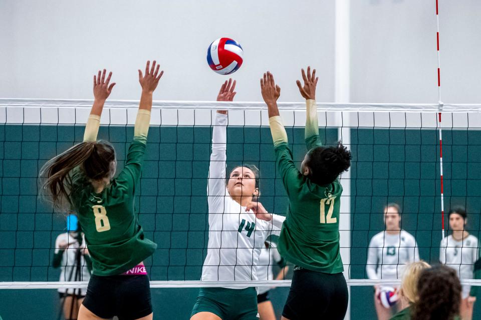 Dartmouth's Ava Crane taps it between the Bears blockers.