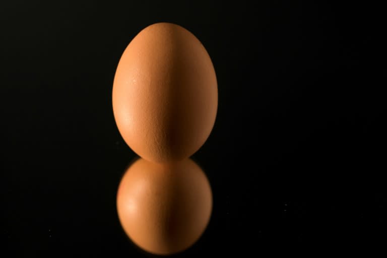 Eggs tainted with fipronil have been discovered in 17 European countries and have also been found as far afield as Hong Kong