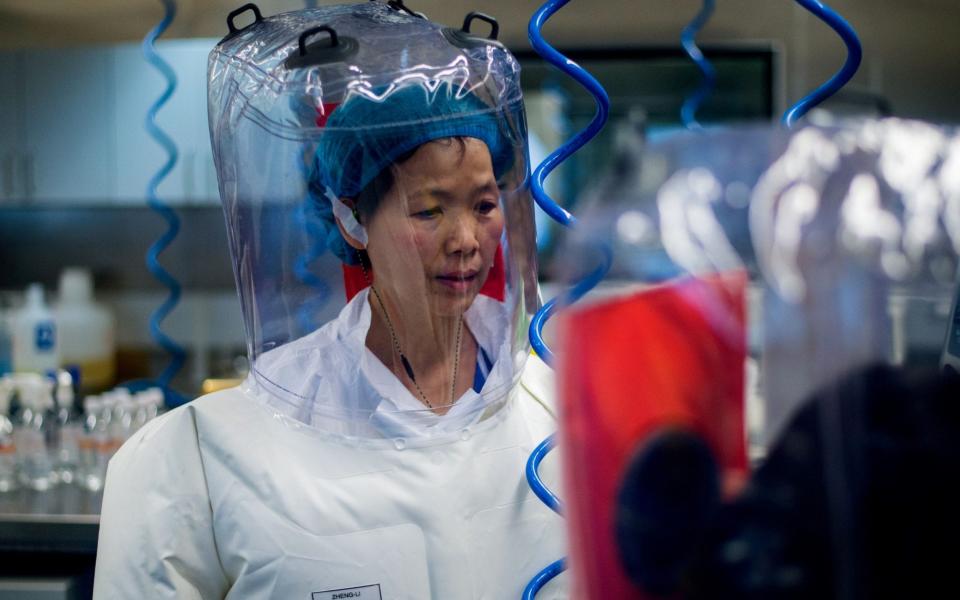 his file photo taken on February 23, 2017 shows Chinese virologist Shi Zhengli inside the P4 laboratory in Wuhan, capital of China's Hubei province. - The World Health Organization said on May 5, 2020 that Washington had provided no evidence to support "speculative" claims by the US president that the new coronavirus originated in a Chinese lab. The facility is among a handful of labs around the world cleared to handle Class 4 pathogens (P4) - AFP