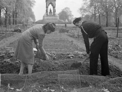 <span class="caption">'Dig For Victory', first time around on an allotment in London's Kensington Gardens.</span> <span class="attribution"><a class="link " href="https://commons.wikimedia.org/wiki/File:Dig_For_Victory-_Working_on_An_Allotment_in_Kensington_Gardens,_London,_1942_D8334.jpg" rel="nofollow noopener" target="_blank" data-ylk="slk:Imperial War Museum;elm:context_link;itc:0;sec:content-canvas">Imperial War Museum</a></span>