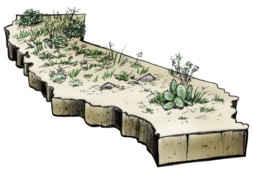 Illustrated map of California lush with green plants