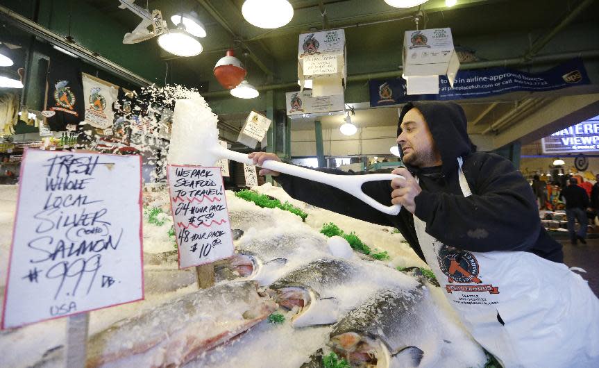 FILE - In this Oct. 3, 2013 file photo Pike Place Fish Market fishmonger Erik Espinoza shovels ice onto fresh fish at the Pike Place Market in Seattle. Lawmakers in both state legislatures and in Washington, D.C., have been considering bills that would help to ensure more accurate labeling of seafood. (AP Photo/Elaine Thompson, file)