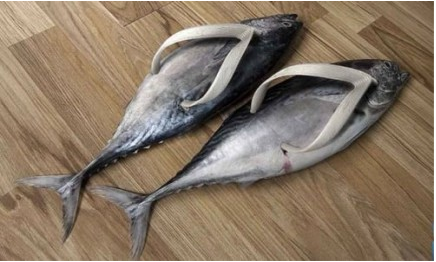 Fish-Flops