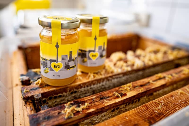 Honey is in the kitchen at the BVG depot in Lichtenberg. Negotiators from the EU member states and the European Parliament have agreed that in future honey must have the country of origin clearly labelled on the packaging. Fabian Sommer/dpa