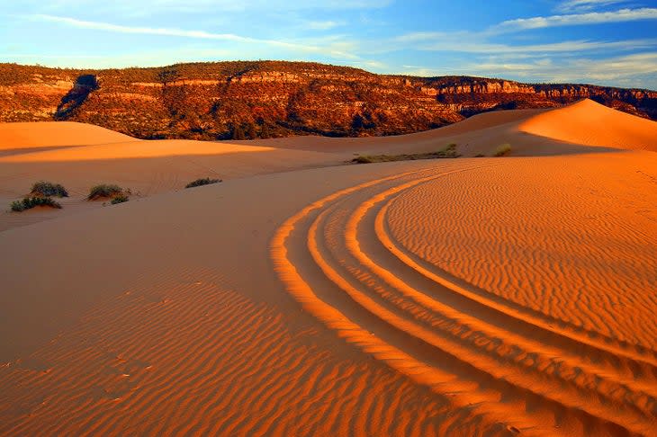 4-wheeler tracks at Coral Pink Sand Dunes State Park in Utah