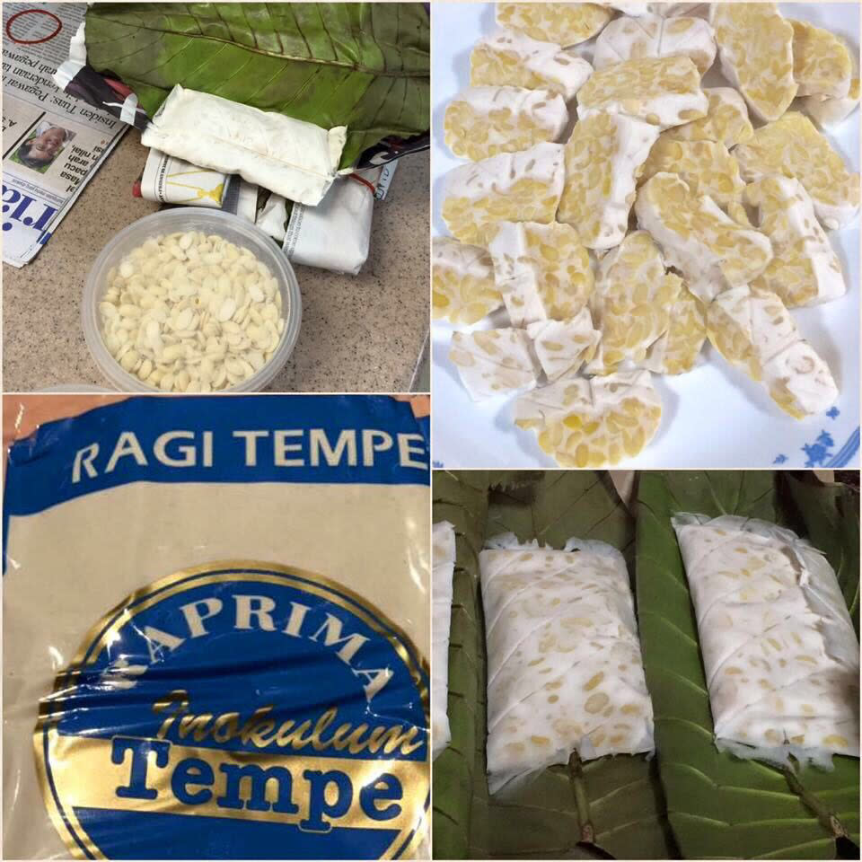 Making of Tempeh. (Photo: Suryakenchana)