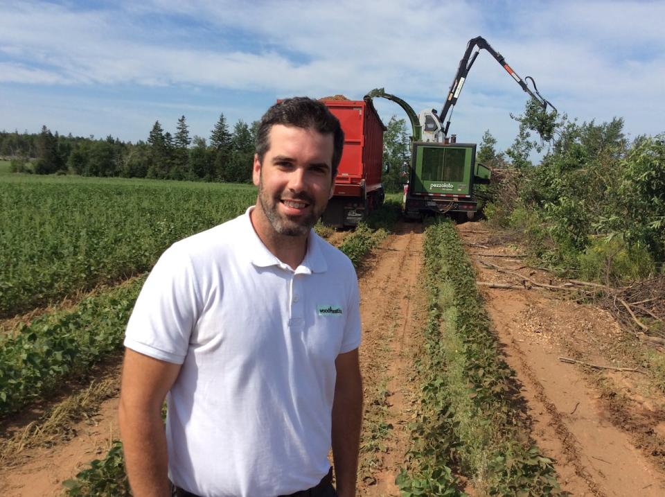 Alex Pratt's company harvests all its wood chips on P.E.I., he said.