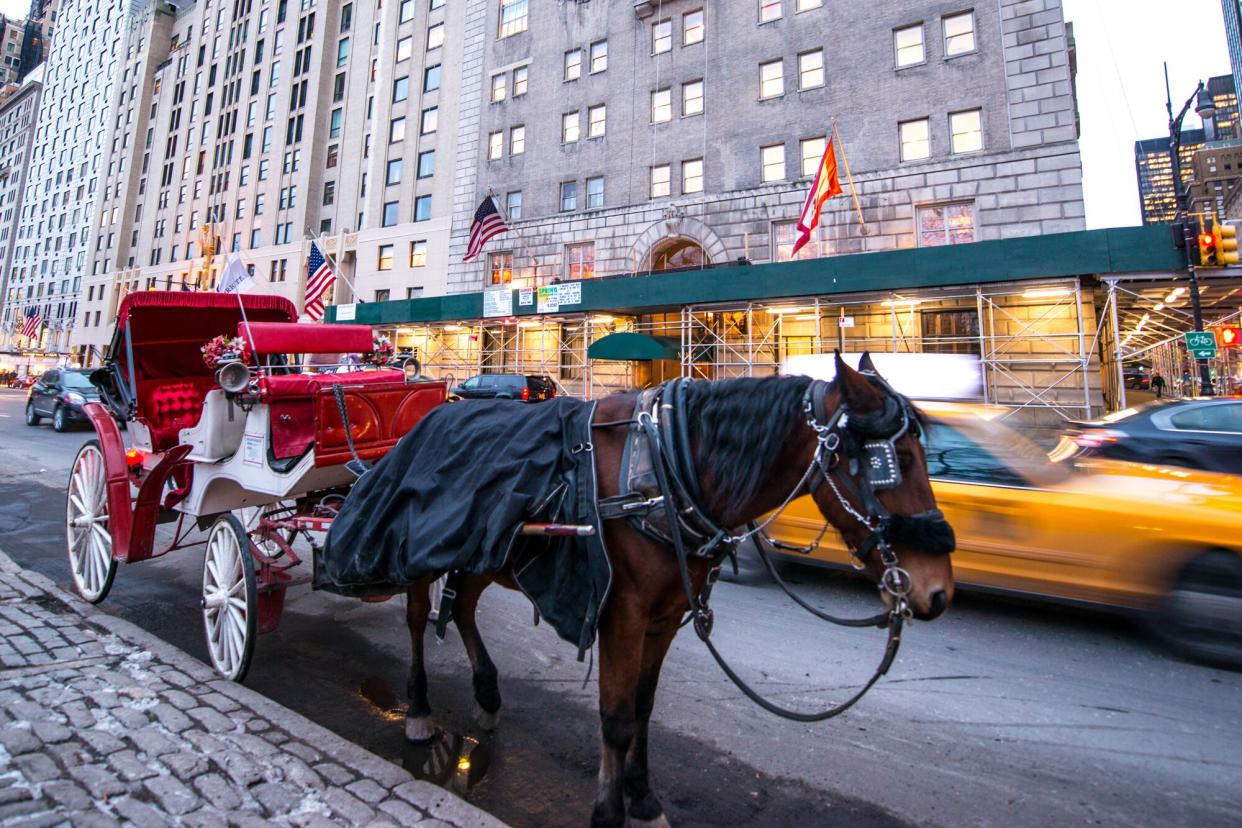 Horse Carriage waiting for passengers near Central Park, NYC