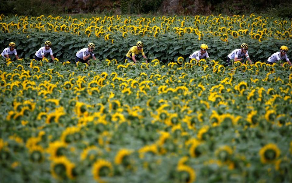 Chris Froome and Team Sky ride through a field of sunflowers in France which can only mean one thing, it must soon be time for Le Tour - REUTERS