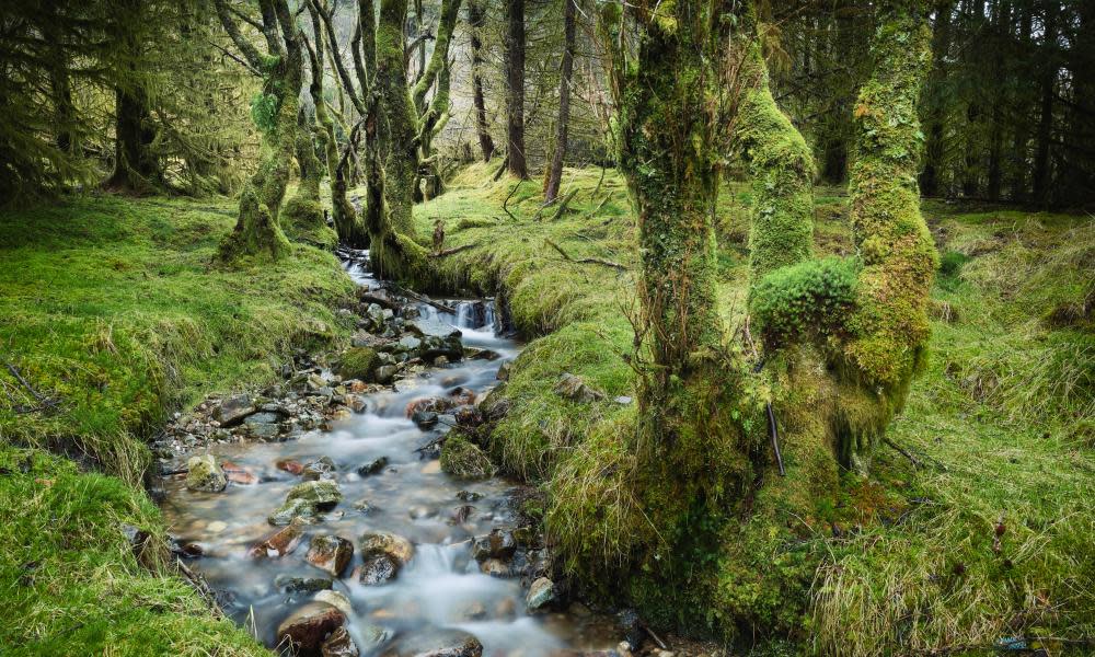 <span>Photograph: Julian Calverley/Getty Images</span>