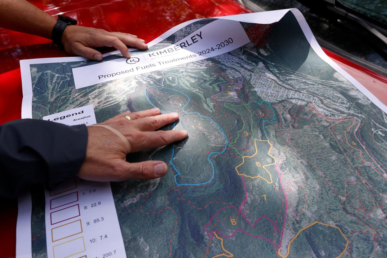 Officials from the city of Kimberley, British Columbia, Canada show off areas of a vast forest where they have an ongoing fuel management project in use to reduce the risk of wildfires in the area on Friday, May 31, 2024.