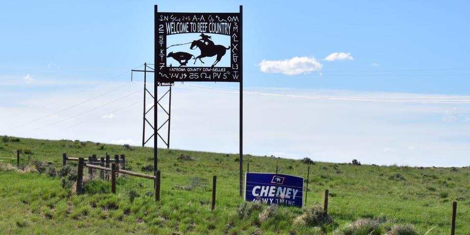 Wyoming campaign poster