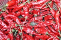 hot peppers