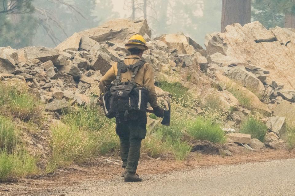 Firefighter looks to strengthen fuel break at Trout Fire in Sequoia National Forest.