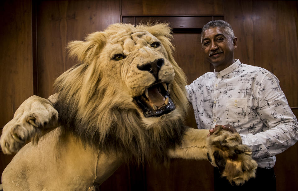 Neville Jardine, presidente del equipo de rubby sudafricano Golden Lions, posa con un león disecado que son exhibidos como trofeos de caza (Foto Deon Raath/Foto24/Gallo Images/Getty Images)