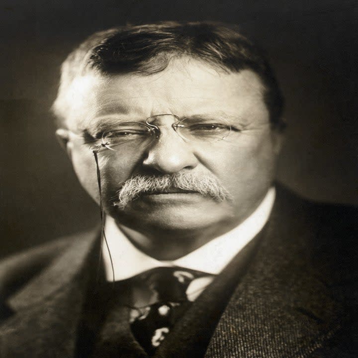 Theodore Roosevelt