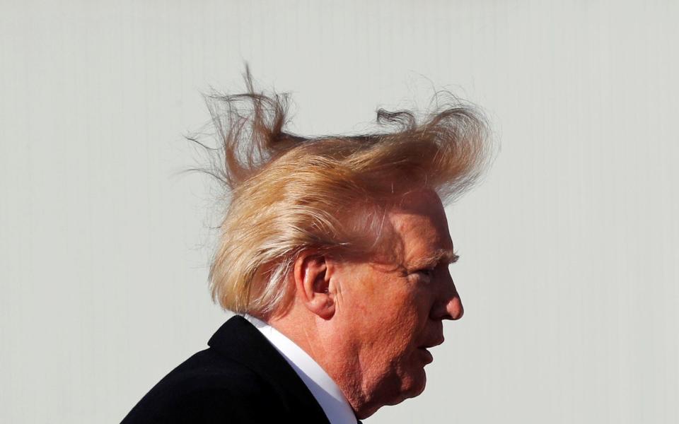 President Trump is known to take great pride in his hair, but it does not always behave in front of the camera, such as when he boards Air Force One - JONATHAN ERNST /Reuters