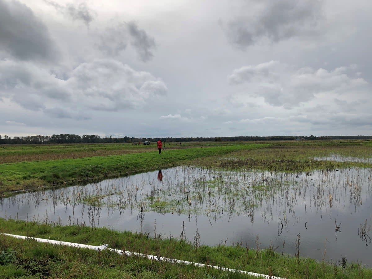 The Government is promoting ‘paludiculture’ – farming on wetlands – in a bid to restire the UK’s peatlands (Emily Beament/PA) (PA Archive)