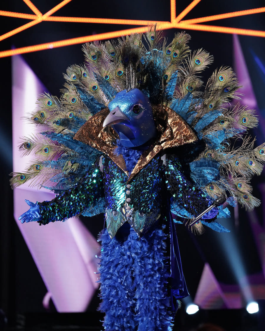 Peacock performs on "The Masked Singer." (Photo: Fox )