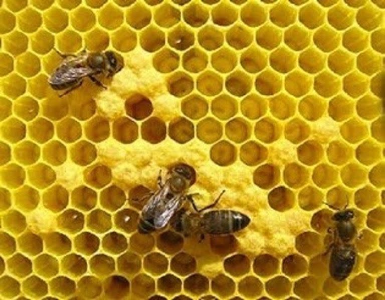 La producción local de miel fue la cuarta a nivel mundial en 2020.