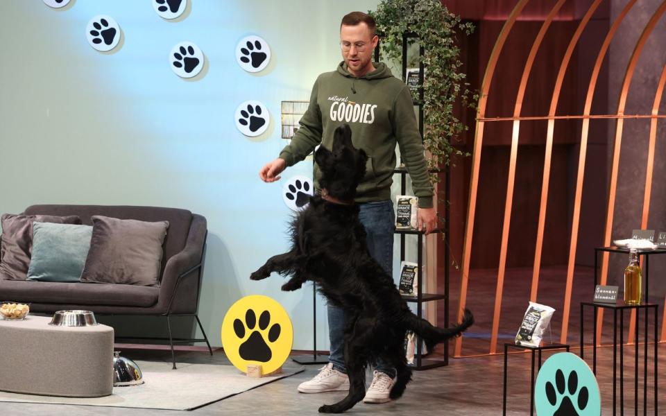 Wenn der Herr mit dem Hund: Moritz Röschl träumt schon lange davon, mit seinem Benni einen Snack zu teilen. Die "Nagos"-Cracker machen das möglich. Die "Löwen" blieben aber spektisch. Kein Zuschlag! (Bild: RTL / Frank W. Hempel)