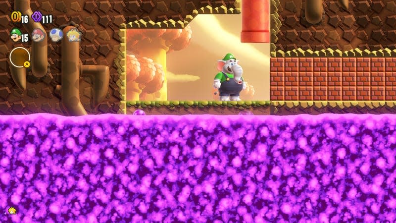 Luigi stands next to a wall of bricks blocking a path.