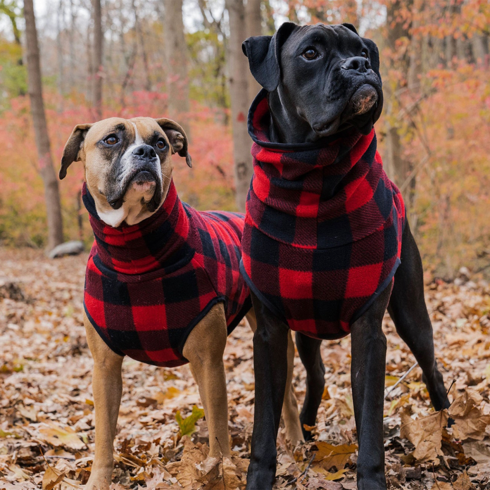 red buffalo plaid turtleneck sweater for dogs